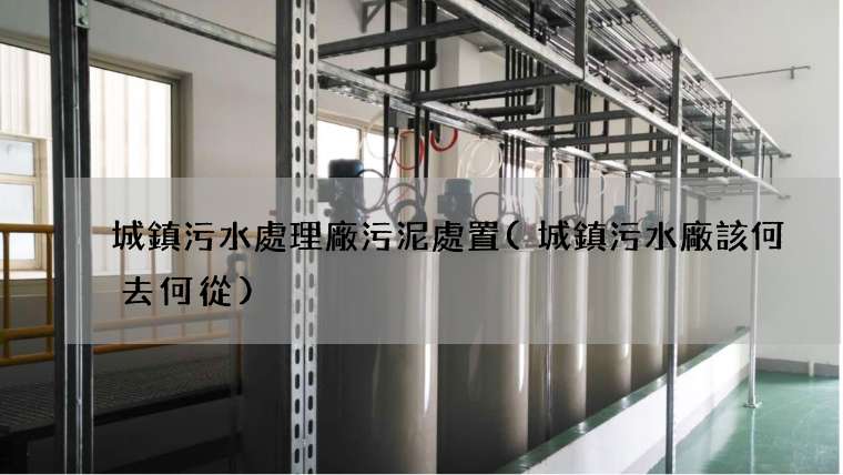 城鎮污水處理廠污泥處置(城鎮污水廠該何去何從)